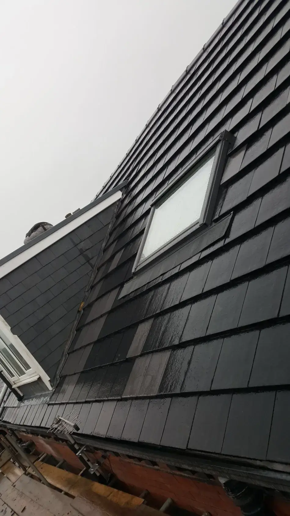 Roof Skylight