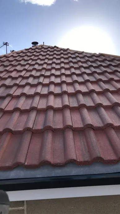 Red Roof in sunlight